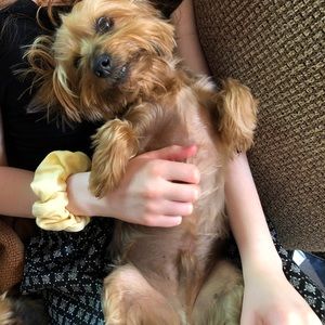 Meet your Posher, Joshua